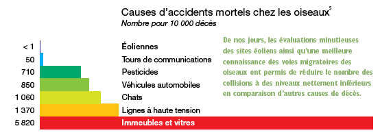Les collisions avec les immeubles et les vitres sont la première source de mortalité chez les oiseaux.